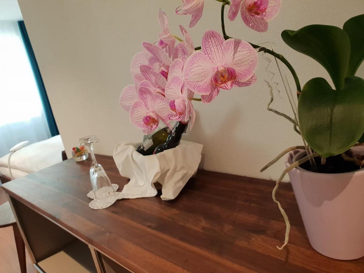 林姆尔酒店 穆尔滕 外观 照片